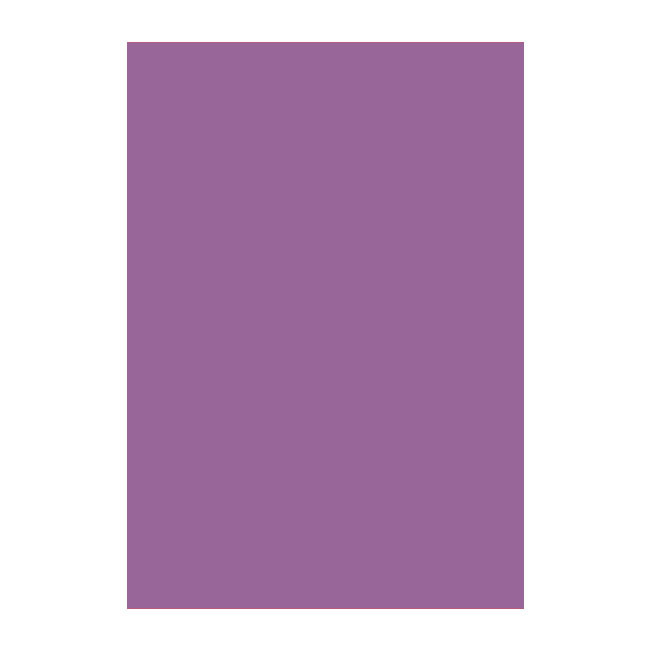 Цветен картон Papicolor A4 270 g/m2 10 л. Виол